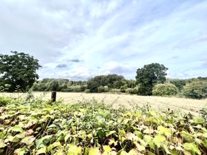 View- click for photo gallery